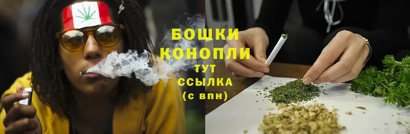 купить наркотики сайты  Подольск  блэк спрут   Бошки Шишки SATIVA & INDICA 